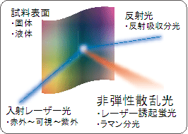 図5：極微量蛍光物質検出法の開発