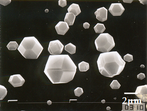 図1　CVDダイヤモンド粒子の走査型電子顕微鏡像